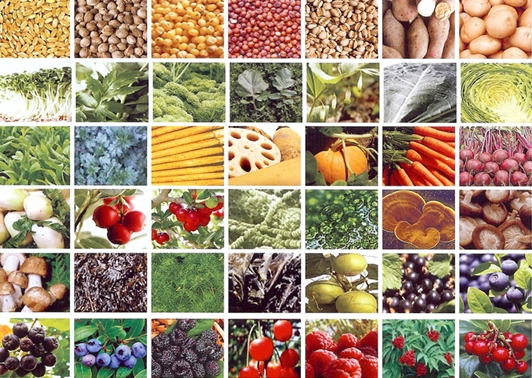 Raw Food Nutrition Chart