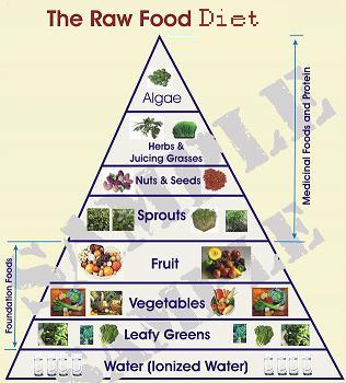 Raw Food Calorie Chart